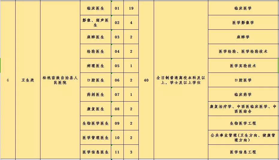 松桃醫(yī)院最新招聘信息發(fā)布，崗位空缺及申請(qǐng)要求揭秘