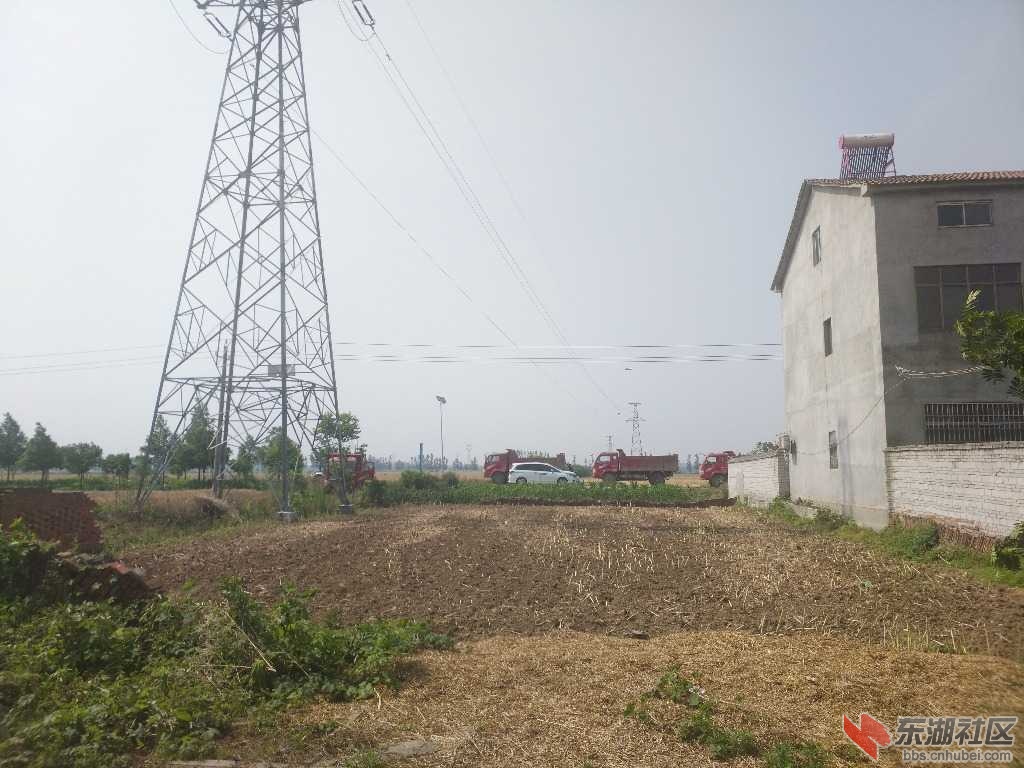 柴湖開發(fā)區(qū)探索自然美景之旅，最新動(dòng)態(tài)與內(nèi)心平和的追尋