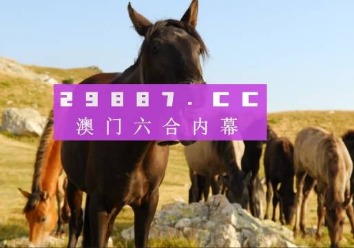 澳門管家婆一肖一碼一中一開,科學分析解釋說明_銳意版90.367