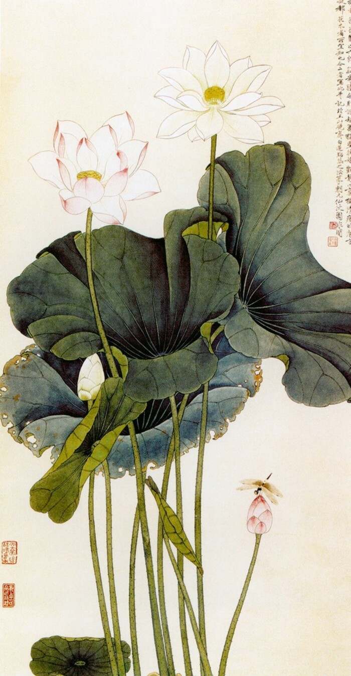 科技與藝術(shù)融合之美，最新荷花畫欣賞與探索